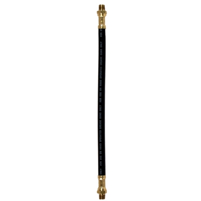 1/8&quot; x 12&quot; Grease Whip Hose